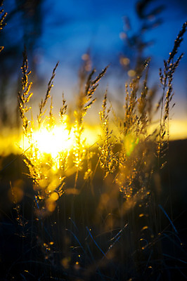 포토 JPG 해외이미지 실루엣 바다 여행 백그라운드 태국 자연 하늘 풍경 사람없음 야외 빨간색 빛 햇빛 태양 노란색 일출 황혼 일몰 휴양지 이국적 수평선 해외202004 해외포토 자연요소 아시아 컬러 촬영기법 노을 장소 생태계 파일형식