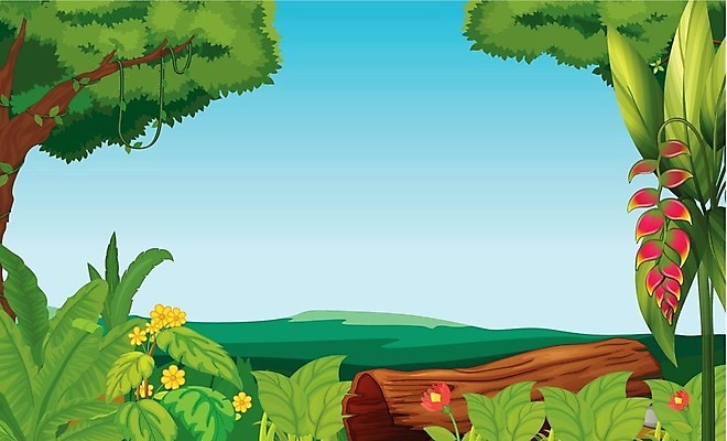 EPS 해외이미지 나무 식물 공원 꽃 분홍색 백그라운드 잎 일러스트 자연 벽지 하늘 열대 풍경 그래픽 초록색 갈색 환경 나뭇가지 숲 열대우림 만화 땅 그림 통나무 장면 포도나무 서식지 공터 내추럴 해외202004 해외일러스트 공공시설 컬러 과일나무 생태계 파일형식 벡터
