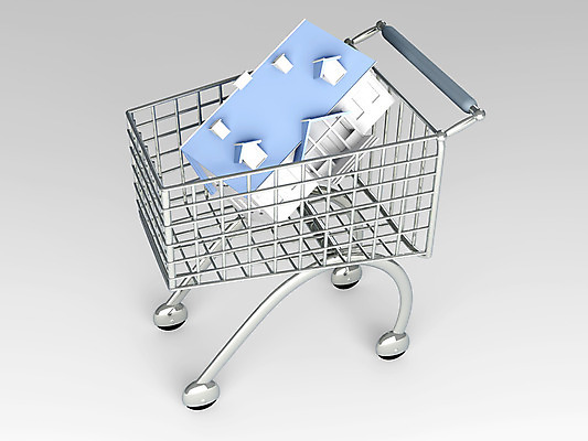 포토 JPG 해외이미지 컨셉 부동산 주택 사람없음 건물 3D 쇼핑카 시장 재산 구매 맨션 담기 투자 상업 소유 해외202004 해외포토 건축물 비즈니스 모션 금융 쇼핑 카트 디지털합성 파일형식