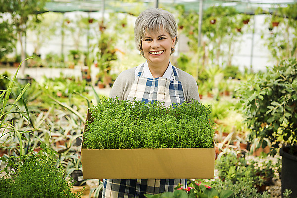 포토 JPG 해외이미지 식물 직업 여자 행복 중년 한명 사람 취미 정원 앞치마 꽃집 허브 원예 정원가꾸기 백리향 온실 중년여자한명만 해외202004 해외포토 1 감정 성인 상점 여자한명만 중년여자만 파일형식