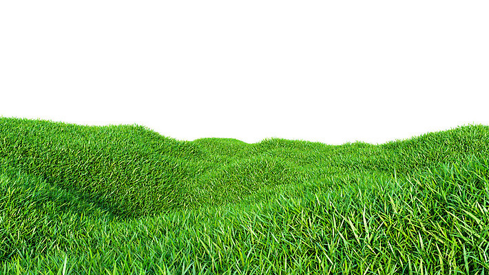 포토 JPG 해외이미지 식물 풍경 잔디 초원 사람없음 야외 초록색 봄 해외202004 해외포토 계절 컬러 파일형식