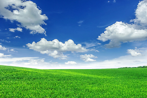 포토 JPG 해외이미지 하늘 날씨 풍경 잔디 초원 사람없음 초록색 햇빛 봄 해외202004 해외포토 식물 계절 컬러 태양 파일형식