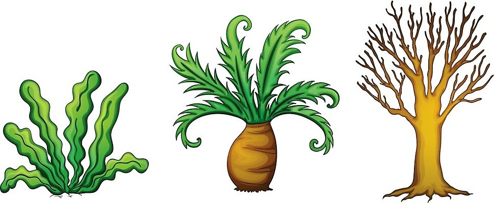 EPS 해외이미지 나무 식물 잎 일러스트 자연 건조 3 그래픽 초록색 세트 컬러풀 공백 그룹 스케치 관목 오브젝트 흰배경 뿌리 리빙 고립 탈수 많음 해외202004 해외일러스트 컬러 백그라운드 컨셉 미술 흰색 생태계 파일형식 벡터