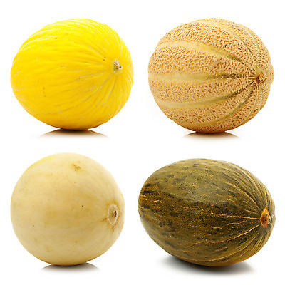 포토 JPG 해외이미지 음식 조각 컨셉 농업 과일 자연 실내 식이요법 사람없음 주방 신선 멜론 흰배경 유기농 영양 고립 바이오 해외202004 해외포토 웰빙 산업 백그라운드 건강 내부 흰색 생태계 파일형식