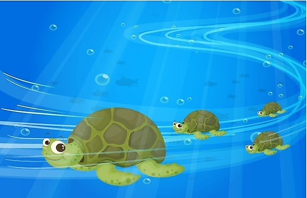 EPS 해외이미지 주간 동물 호수 선 파도 바다 곡선 일러스트 자연 선물 그래픽 물 파란색 강 햇빛 태양 맑음 수영 거품 광선 연못 4 그룹 거북이 그림 느림 자원 내추럴 등딱지 많음 해외202004 해외일러스트 자연요소 컬러 컨셉 파충류 날씨 숫자 수상스포츠 생태계 파일형식 벡터