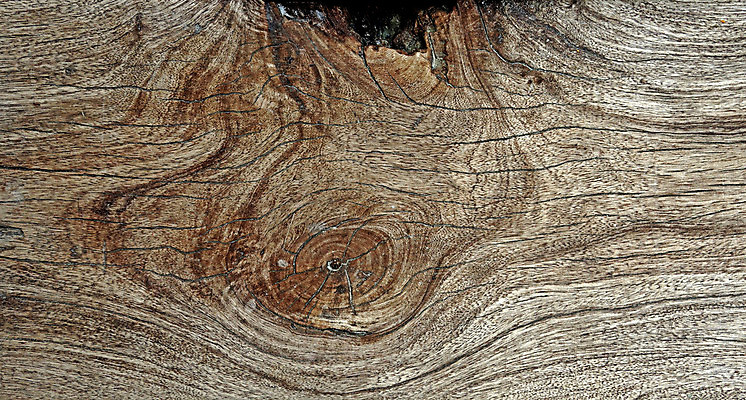 포토 JPG 해외이미지 접시 디자인 외관 벽 백그라운드 패턴 자연 탁자 표면 바닥 주택 프레임 사람없음 건물 목재 장식 빛 갈색 어둠 줄무늬 수확 판넬 거친 널 낟알 책상 사인 질감 복고 결 내추럴 수목 옛날 해외202004 해외포토 나무 식기 건축물 컬러 가구 무늬 농업 재료 생태계 파일형식