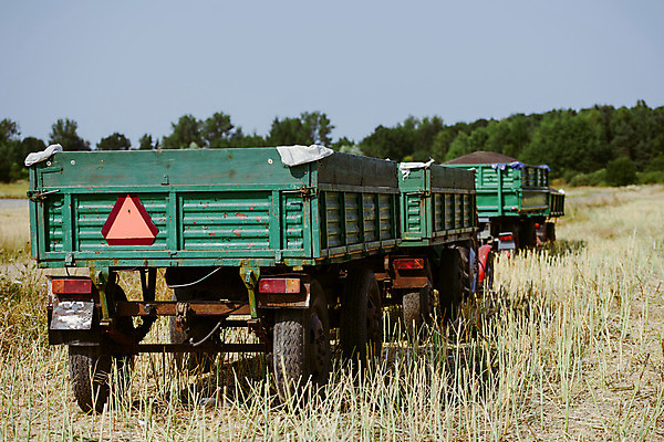 포토 JPG 해외이미지 밭 농업 자동차 자연 씨앗 사람없음 야외 농작물 농장 수확 추수 가을 밭일 해외202004 해외포토 식물 계절 산업 육상교통 생태계 파일형식