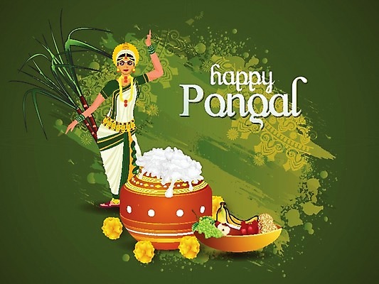 EPS 해외이미지 캐릭터 전통 배너 포스터 종교 문화 음식 백그라운드 농업 과일 일러스트 밥 휴가 이벤트 축제 수확 축하 달콤 냄비 농부 인도인 감사 기회 소원 숭배 힌두교 사탕수수 해외202004 해외일러스트 일러캐릭터 외국인 식물 직업 감정 산업 컨셉 동양인 맛 솥 파일형식 벡터