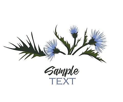 EPS 해외이미지 식물 템플릿 디자인 꽃 실루엣 꽃다발 결혼 백그라운드 잎 꽃무늬 패턴 일러스트 자연 프레임 초원 그래픽 장식 여름 정원 봄 낭만 벚꽃 나뭇가지 축하 인사 신용카드 화려 허브 심볼 그림 초대 엉겅퀴 내추럴 고립 구성 빅토리아 스코틀랜드 국경 해외202004 해외일러스트 나무 계절 컨셉 무늬 영국 촬영기법 이벤트 금융 예절 생태계 파일형식 벡터