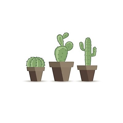 EPS 해외이미지 무료이미지 화분 일러스트 선인장 사람없음 선인장화분 해외202004 반려식물 해외일러스트 식물 파일형식 벡터 무료콘텐츠