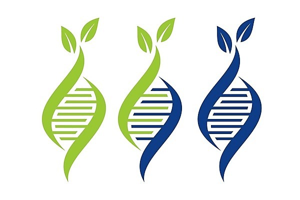 EPS 해외이미지 무료이미지 디자인 과학 잎 일러스트 사람없음 초록색 파란색 DNA 심볼 해외202004 해외일러스트 식물 컬러 생명공학 파일형식 벡터 무료콘텐츠 의학