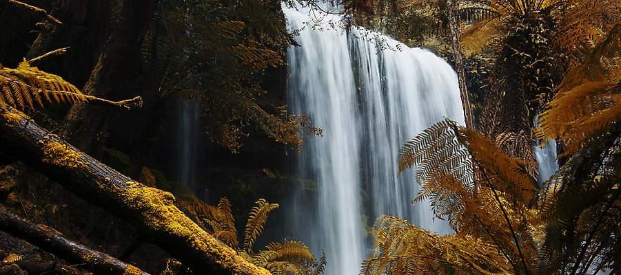 포토 JPG 해외이미지 공원 자연 이끼 풍경 사람없음 야외 초록색 물 평화 환경 폭포 흐름 안개 개울 황무지 호주 숲 열대우림 자연백그라운드 내추럴 양치류 해외202004 해외포토 자연요소 공공시설 컬러 백그라운드 컨셉 날씨 강 오세아니아 생태계 파일형식