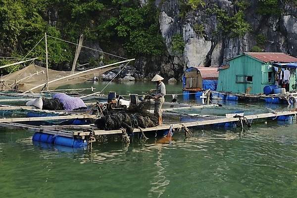 포토 JPG 해외이미지 전통 산업 아시아 문화 호수 바다 여행 자연 하늘 낚시 어류 사람 동양인 풍경 사람없음 야외 물 파란색 빛 강 평화 일출 환경 항구 중국 침묵 수확 시골 잡기 만 보트 가난 어부 베트남 인도네시아 낚시꾼 캄보디아 라오스 말레이시아 해외202004 해외포토 자연요소 직업 나라 컬러 컨셉 농업 배_교통 교통시설 모션 레저 인종 노을 동남아시아 수중동물 소리 생태계 파일형식