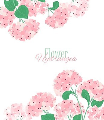 EPS 해외이미지 디자인 꽃잎 꽃 백그라운드 잎 꽃무늬 패턴 일러스트 프레임 미술 사람없음 그래픽 장식 초록색 봄 낭만 흰색 축하 화려 우아함 그림 복고 초대 수국 구성 해외202004 해외일러스트 식물 계절 컬러 컨셉 무늬 문화예술 파일형식 벡터