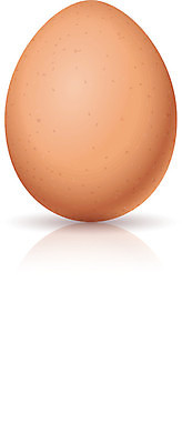 EPS 해외이미지 모양 1 길 음식 백그라운드 농업 일러스트 재료 자연 새로움 실내 건강 요리 내부 농장 갈색 노란색 계란 치킨 튀김 껍질 흰색 신선 원형 시장 상품 자르기 먹기 묘사 오브젝트 준비 싱글 유기농 날것 내추럴 고립 줄서기 맛있는 해외202004 해외일러스트 도형 웰빙 산업 컬러 컨셉 모션 알 생태계 닭고기요리 파일형식 벡터