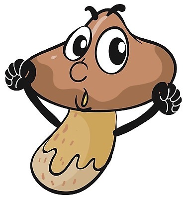 EPS 해외이미지 클립아트 일러스트 대화 사람없음 갈색 버섯 음식캐릭터 해외202004 해외일러스트 일러캐릭터 캐릭터 음식 컬러 말하기 파일형식 벡터