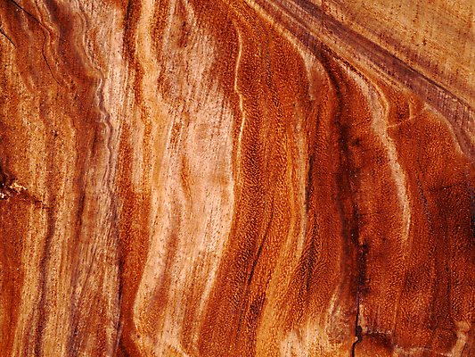 포토 JPG 해외이미지 접시 디자인 외관 벽 백그라운드 패턴 자연 탁자 표면 바닥 주택 프레임 사람없음 건물 목재 장식 빛 갈색 어둠 줄무늬 수확 판넬 거친 널 낟알 천 책상 사인 질감 복고 결 내추럴 수목 옛날 해외202004 해외포토 나무 식기 건축물 컬러 가구 무늬 농업 재료 직물 생태계 파일형식