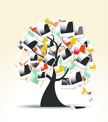 EPS 해외이미지 모양 나무 디자인 컨셉 일러스트 아이디어 프레임 미술 사람없음 장식 쌓기 카메라 디지털 검은색 공백 나뭇가지 앨범 그림 문서 복고 페이지 그런지 엘리먼트 테마 해외202004 해외일러스트 식물 컬러 모션 문화예술 전자제품 파일형식 벡터