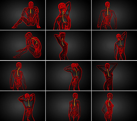 포토 JPG 해외이미지 해부 건강 사람 사람없음 3D 입 혀 오르기 간 방광 해외202004 해외포토 의학 모션 신체부위 장기_의학 비뇨기관 디지털합성 파일형식