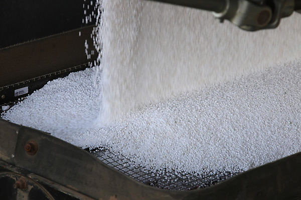 포토 JPG 해외이미지 산업 밭 농업 씨앗 풍경 사람없음 흙 장비 수확 시골 잡초 농부 낟알 밀 거름 밭일 카놀라 해외202004 해외포토 식물 직업 곡류 파일형식