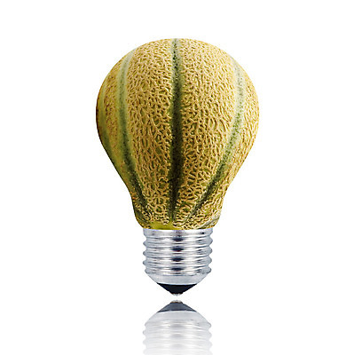 포토 JPG 해외이미지 음식 컨셉 과일 아이디어 사람없음 빛 에너지 멜론 흰배경 친환경 유기농 고립 생태학 해외202004 해외포토 웰빙 교육 백그라운드 환경 흰색 파일형식