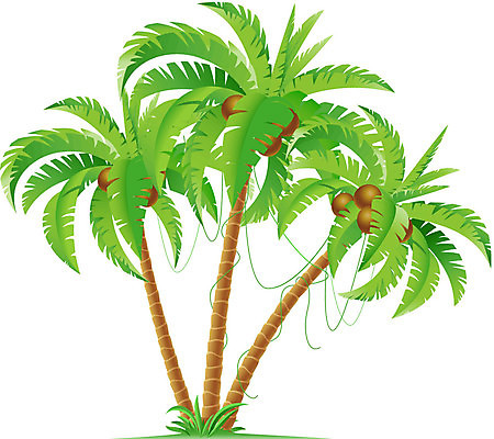 EPS 해외이미지 나무 식물 디자인 음식 바다 섬 여행 백그라운드 잎 패턴 과일 일러스트 자연 휴가 휴식 손바닥 3 미술 풍경 야외 그래픽 초록색 여름 갈색 견과류 흰색 뜨거움 그룹 만화 심볼 휴양지 장면 코코넛 고립 이국적 해외202004 해외일러스트 손 계절 컬러 컨셉 무늬 문화예술 장소 생태계 파일형식 벡터