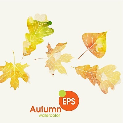 EPS 해외이미지 식물 백그라운드 단풍 잎 일러스트 자연 수채화 사람없음 빨간색 초록색 노란색 가을 밤 해외202004 해외일러스트 계절 컬러 견과류 생태계 파일형식 벡터