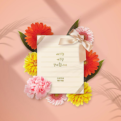PSD 편집이미지 꽃 리본 분홍색 그림자 사람없음 편지 스승의날 카네이션 감사 가정의달 이미지편집 카드프레임 식물 기념일 감정 컬러 프레임 5월 파일형식