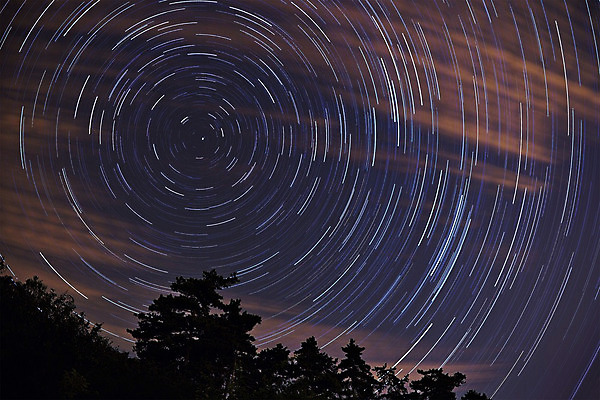 포토 JPG 해외이미지 나무 실루엣 별 과학 백그라운드 자연 하늘 풍경 사람없음 빛 우주 검은색 어둠 전원 야간 신비 회전 은하계 공상 별빛 성운 해외202004 SF 해외포토 자연요소 식물 컬러 컨셉 촬영기법 전기에너지 생태계 파일형식