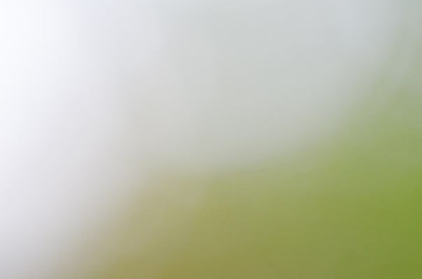 포토 JPG 해외이미지 템플릿 디자인 백그라운드 컨셉 패턴 일러스트 벽지 추상 미술 사람없음 그래픽 장식 초록색 빛 컬러풀 디지털 질감 블러 스펙트럼 엘리먼트 해외202004 해외포토 컬러 무늬 문화예술 파일형식