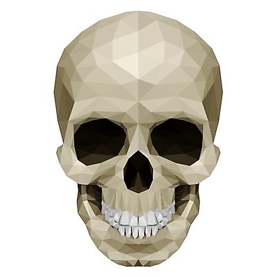 EPS 해외이미지 백그라운드 컨셉 패턴 일러스트 해부 추상 생물 아이디어 골격 할로윈 슬픔 흰색 운명 죽음 유령 위험 신비 무서움 악마 크리스탈 위협 심볼 묘사 모자이크 공상 턱 나쁜 고딕 고립 몬스터 지옥 폴리곤 해골모형 호러 해외202004 해외일러스트 감정 컬러 무늬 의학 모형 광석 공포 파일형식 벡터