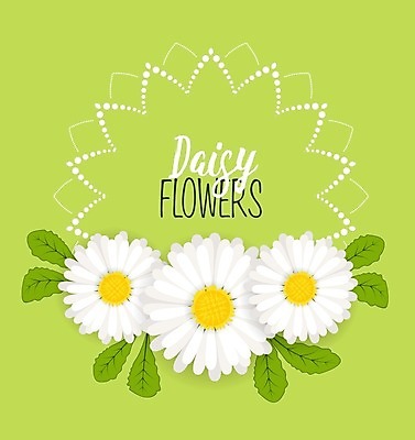 EPS 해외이미지 무료이미지 백그라운드 일러스트 사람없음 연두색 봄 데이지 해외202004 해외일러스트 계절 꽃 초록색 파일형식 벡터 무료콘텐츠