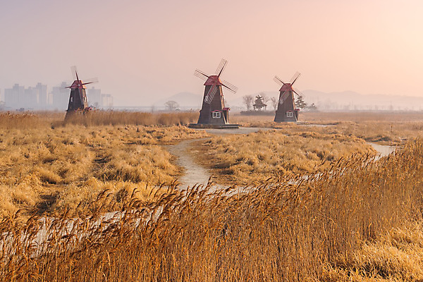 포토 JPG 해외이미지 계절 여행 백그라운드 밭 농업 자연 벽지 하늘 바람 서울 한국 풍경 사람없음 야외 목재 초록색 여름 파란색 컬러풀 농장 맑음 봄 풍차 에너지 흰색 시골 신선 땅 장면 방앗간 에스토니아 옛날 해외202004 해외포토 자연요소 나무 유럽 산업 아시아 컬러 재료 날씨 생태계 파일형식