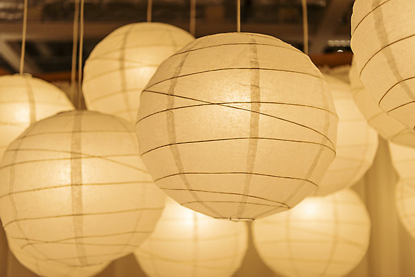 포토 JPG 전구 유리 조명 실내 밝음 근접촬영 사람없음 아웃포커스 빛 여러개 전시 에너지 조명가게 국내포토 뷰포인트 다수 재질 촬영기법 내부 상점 파일형식