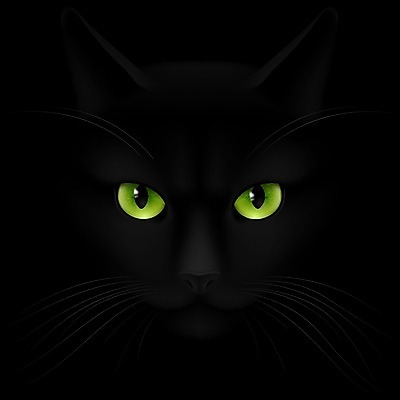 EPS 해외이미지 동물 템플릿 디자인 응시 시선 얼굴 야생동물 백그라운드 일러스트 포유류 그래픽 초록색 반려동물 검은색 고양이 어둠 할로윈 분노 야간 위험 무서움 눈동자 심볼 사인 육식동물 비전 표범 고립 단아함 엘리먼트 최면 포식 해외202004 해외일러스트 자연요소 감정 컬러 컨셉 신체부위 눈_신체부위 파일형식 벡터