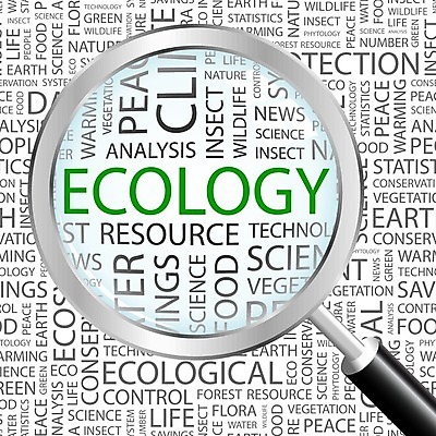 EPS 해외이미지 디자인 백그라운드 컨셉 일러스트 텍스트 돋보기 사람없음 초록색 단어 환경 회색 확대 보호 에코 생태계 생태학 해외202004 해외일러스트 문자 교육 컬러 파일형식 벡터