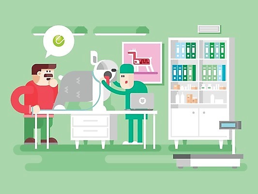 EPS 해외이미지 무료이미지 한마리 남자 백그라운드 말풍선 일러스트 성인 두명 치료 연두색 노트북 반려동물 진료 개 테니스공 동물병원 카툰스타일 수의사 성인남자만 해외202004 해외일러스트 동물 1 공 포유류 의학 병원 사람 초록색 전자제품 의사 테니스용품 남자만 성인만 파일형식 벡터