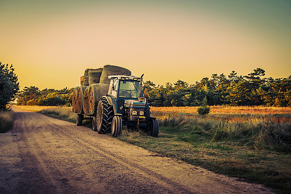 포토 JPG 해외이미지 산업 밭 농업 자연 건조 풍경 초원 사람없음 야외 농작물 농장 농경지 수확 추수 가을 작업 볏짚 밀 트랙터 밀짚 밭일 호밀 해외202004 해외포토 계절 곡류 짚 농기계 생태계 특수차량 파일형식