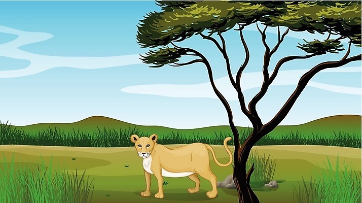 EPS 해외이미지 나무 식물 동물 구름 공원 잎 밭 일러스트 아프리카 자연 하늘 산 동물원 서기 목재 그래픽 초록색 파란색 갈색 환경 힘 바위 나뭇가지 자신감 호랑이 기다림 사자 만화 땅 언덕 그림 육식동물 장면 서식지 암사자 해외202004 해외일러스트 자연요소 공공시설 감정 나라 컬러 농업 재료 포유류 모션 암컷 생태계 파일형식 벡터
