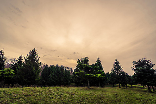 포토 JPG 해외이미지 나무 구름 계절 유럽 여행 백그라운드 밭 농업 자연 하늘 덴마크 스웨덴 풍경 초원 사람없음 야외 초록색 파란색 환경 어둠 봄 성장 가을 시골 소나무 숲 땅 언덕 장면 상록수 전나무 내추럴 삼림지대 스칸디나비아 줄서기 수평선 해외202004 해외포토 자연요소 식물 나라 산업 컬러 모션 북유럽 생태계 파일형식