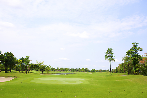 포토 JPG 해외이미지 나무 식물 하늘 풍경 잔디 초원 사람없음 초록색 햇빛 봄 해외202004 해외포토 계절 컬러 태양 파일형식