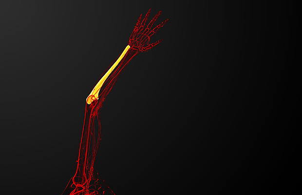 포토 JPG 해외이미지 손 과학 신체 해부 뼈 골격 건강 사람 사람없음 3D 팔 해외202004 해외포토 의학 신체부위 디지털합성 파일형식