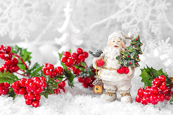 포토 JPG 해외이미지 전통 디자인 열매 행복 백그라운드 크리스마스 겨울 공 새로움 사람없음 장식 빨간색 산타클로스 축제 장식볼 흰색 눈송이 은색 12월 해외202004 해외포토 식물 계절 기념일 감정 컬러 컨셉 눈_날씨 날짜 파일형식