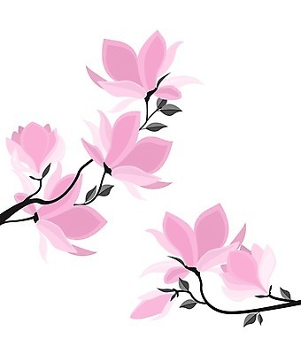 EPS 해외이미지 무료이미지 꽃 일러스트 사람없음 봄 낭만 나뭇가지 목련 국경 해외202004 해외일러스트 나무 식물 계절 컨셉 파일형식 벡터 무료콘텐츠