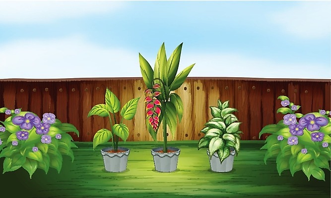 EPS 해외이미지 식물 꽃 화분 일러스트 사람없음 울타리 정원 해외202004 해외일러스트 담장 파일형식 벡터