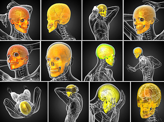 포토 JPG 해외이미지 해부 뼈 골격 건강 사람 사람없음 머리 3D 죽음 턱 해골모형 해외202004 해외포토 의학 신체부위 모형 디지털합성 파일형식
