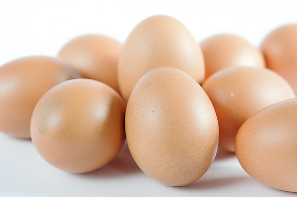 포토 JPG 해외이미지 음식 백그라운드 건강 사람없음 갈색 계란 껍질 흰색 신선 유기농 날것 해외202004 해외포토 웰빙 컬러 알 파일형식