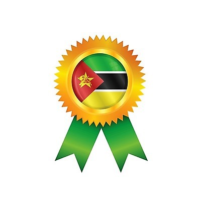 EPS 해외이미지 배너 리본 일러스트 아프리카 사람없음 초록색 세계 노란색 라벨 경쟁 깃발 상패 트로피 메달 심볼 배지 광택 해외202004 해외일러스트 나라 컬러 컨셉 프레임 상_우승 상_상패 파일형식 벡터