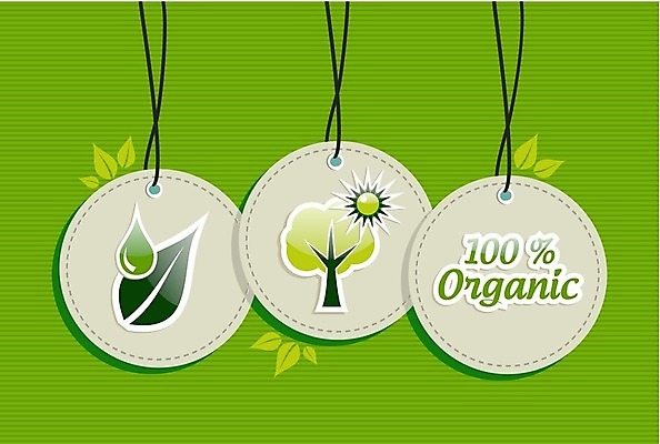 EPS 해외이미지 나무 식물 무료이미지 지구 백그라운드 잎 일러스트 사람없음 초록색 세트 환경 에코 해외202004 해외일러스트 컬러 파일형식 벡터