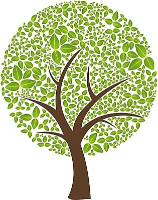 EPS 해외이미지 나무 식물 무료이미지 백그라운드 잎 꽃무늬 일러스트 자연 미술 사람없음 그래픽 초록색 환경 에코 해외202004 해외일러스트 꽃 컬러 무늬 문화예술 생태계 파일형식 벡터 무료콘텐츠